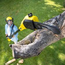 Best Tree Disease Treatment  in Country Lake Estates, NJ